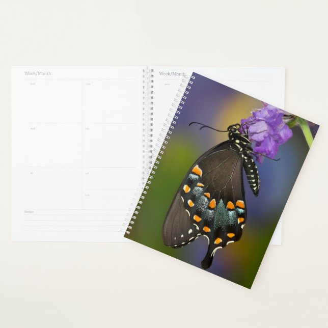A Sulphur Butterfly Planner (Display)