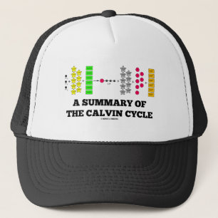 A Summary Of The Calvin Cycle (Photosynthesis) Trucker Hat