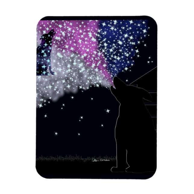 A Summer Night with Sirius Magnet (Vertical)