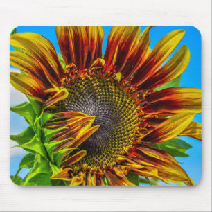 A sunflower Mousepad 