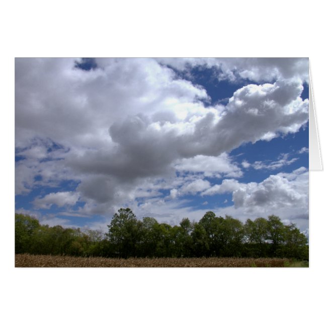 A Sunny Saturday In The Country #21 (Front Horizontal)