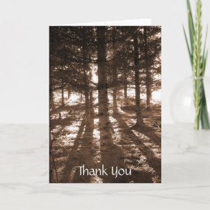 A sunset in the forest thank you note card