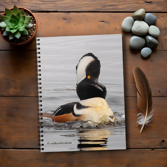 A Surprised Hooded Merganser Spiral Notebook (Surprised Hooded Merganser in the Pond Journal Cover Photo)