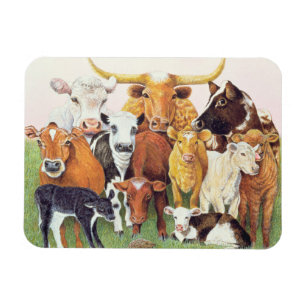 A Surprising Stranger Magnet