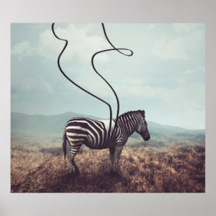 A surreal image of a zebra and two of its black st poster
