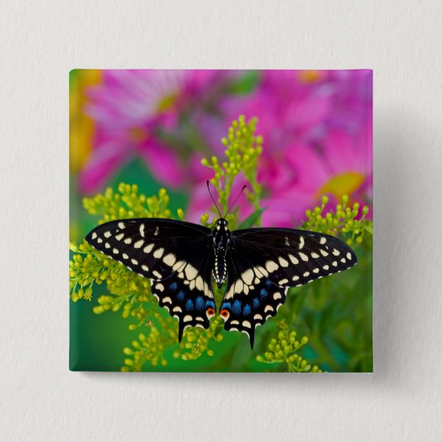 A Swallowtail-Butterfly Landing 15 Cm Square Badge (Front)