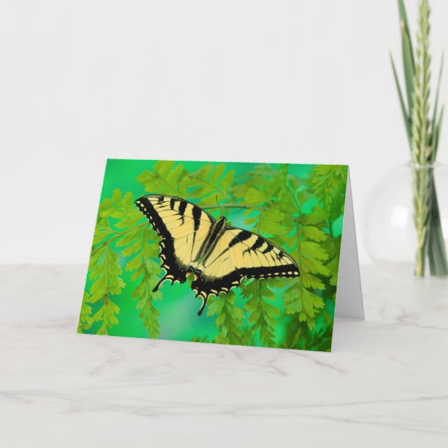 A Swallowtail Butterfly Landing Holiday Card (Front)