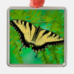 A Swallowtail Butterfly Landing Metal Tree Decoration