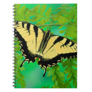 A Swallowtail Butterfly Landing Notebook