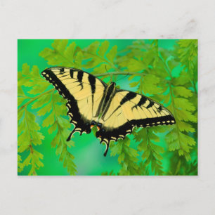 A Swallowtail Butterfly Landing Postcard