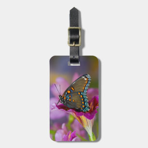 A Swallowtail Butterfly Luggage Tag