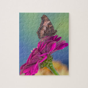 A Swallowtail Butterfly Papilio Multicaudatus Jigsaw Puzzle