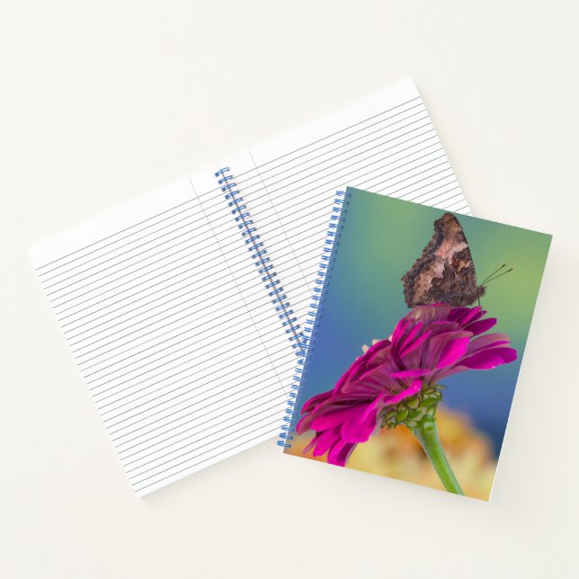 A Swallowtail Butterfly | Papilio Multicaudatus Notebook (Inside)