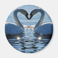A Swan Heart Kiss, Reflections of Love