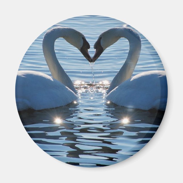 A Swan Heart Kiss, Reflections of Love Magnet (Front)