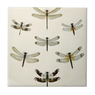 a swarm of retro dragonflies tiles