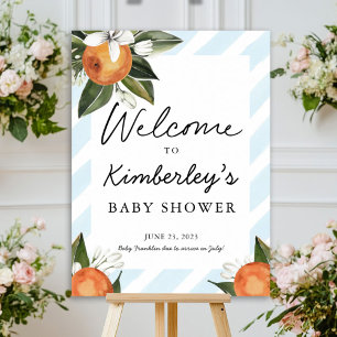 A Sweet Baby Boy On the Way Clementine Welcome  Po Poster