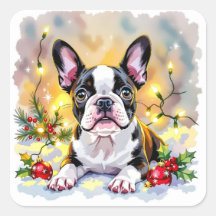 A Sweet Boston Terrier Christmas