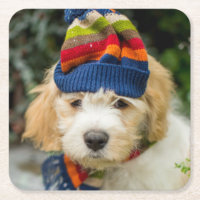 A Sweet Cavachon Puppy In A Winter Hat And Scarf