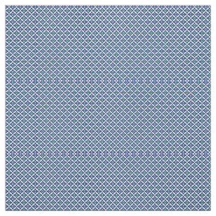 A symmetrical blue and white rug with intricate mo fabric