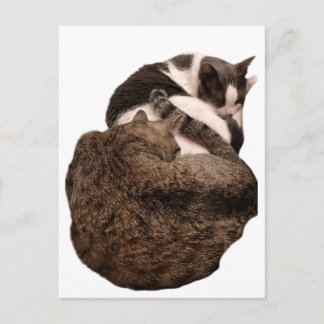 A Tail of Two Postcard