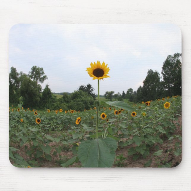 a tall sunflower mouse pad (Front)