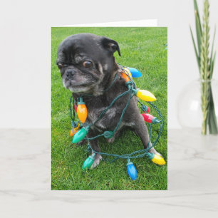 A Tangle-Free Christmas Holiday Card