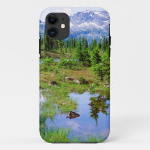 A tarn in the backcountry of Vancouver Island iPhone 11 Case