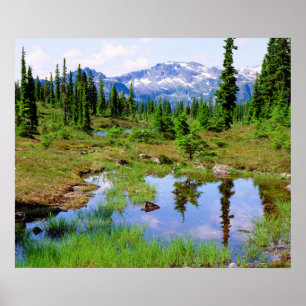 A tarn in the backcountry of Vancouver Island Poster