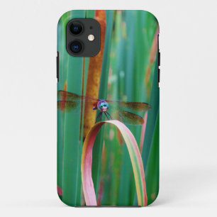 A teal Eyed Dragonfly with cattails Case-Mate iPhone Case