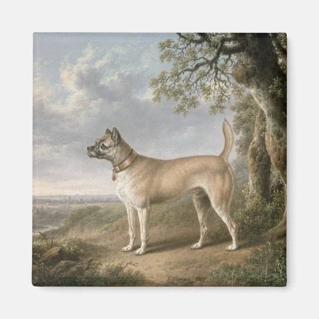 A Terrier on a path in a wooded landscape Magnet (Front)