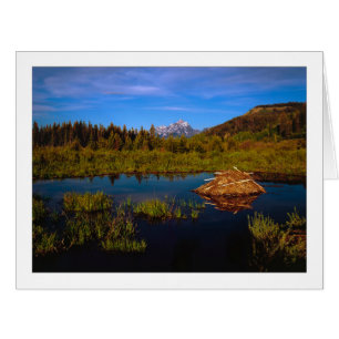 "A Teton Summer"