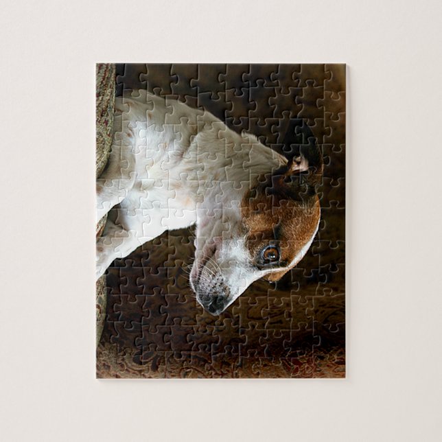 A Thinking Jack Russell Terrier Jigsaw Puzzle (Vertical)