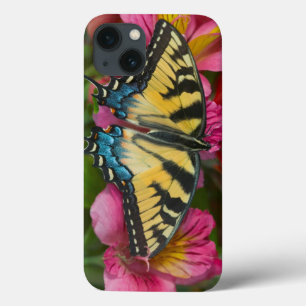 A Tiger Swallowtail Butterfly iPhone 13 Case