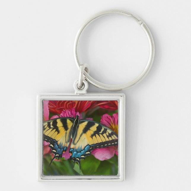 A Tiger Swallowtail Butterfly Key Ring (Front)