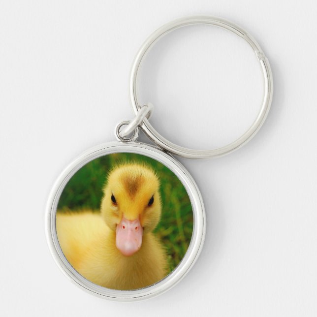 A Tiny Duckling Key Ring (Front)