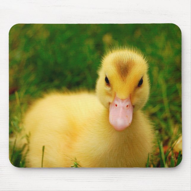 A Tiny Duckling Mouse Pad (Front)
