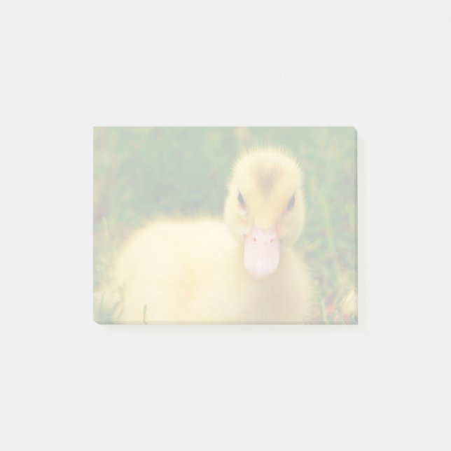 A Tiny Duckling Post-it Notes (Front)