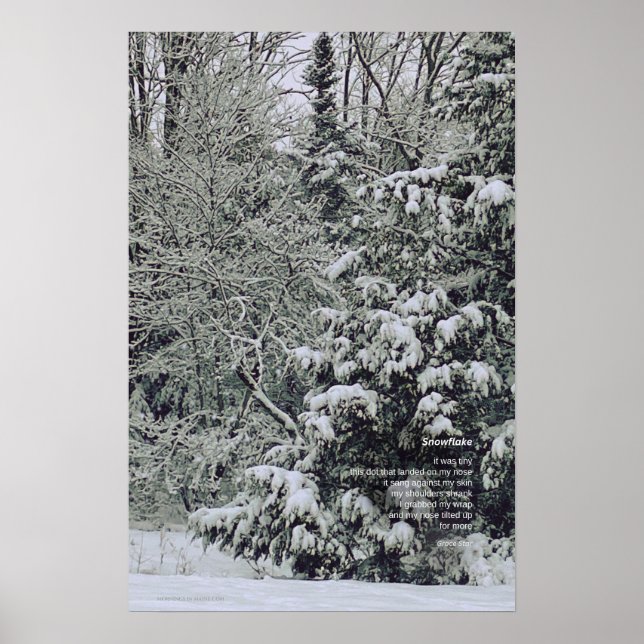 A Tiny Snowflake Poem, Winter Scene Poster (Front)