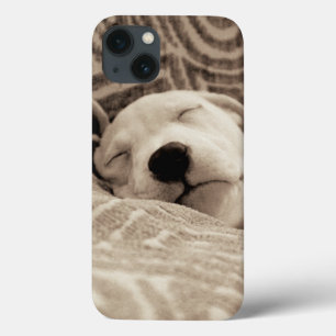 A Tired Dog iPhone 13 Case