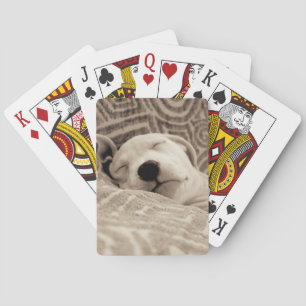A Tired Dog Playing Cards