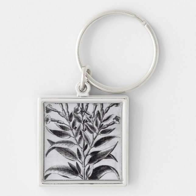 A Tobacco Plant, 1622 Key Ring (Front)