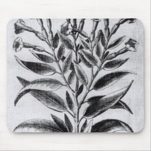 A Tobacco Plant, 1622 Mouse Pad