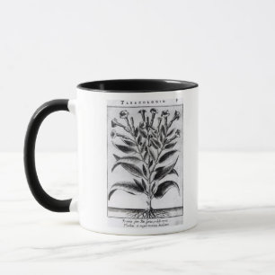 A Tobacco Plant, 1622 Mug