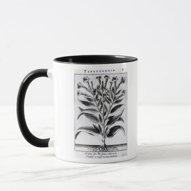 A Tobacco Plant, 1622 Mug (Left)