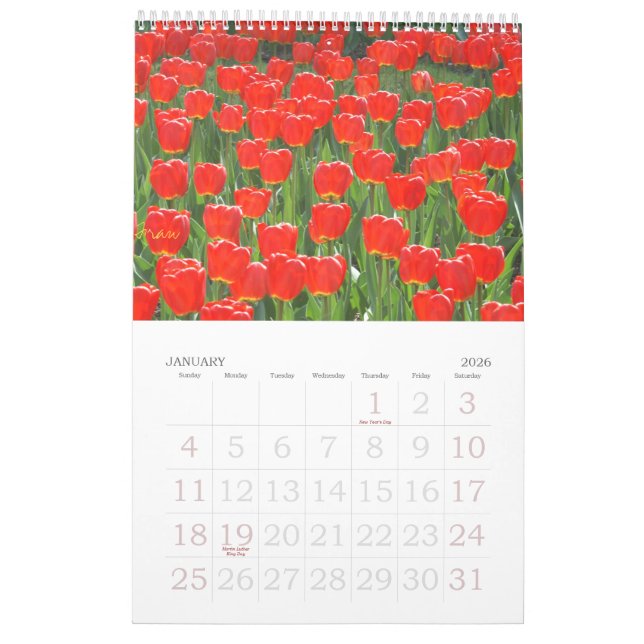 a touch of red for 2013 calendar (Jan 2026)