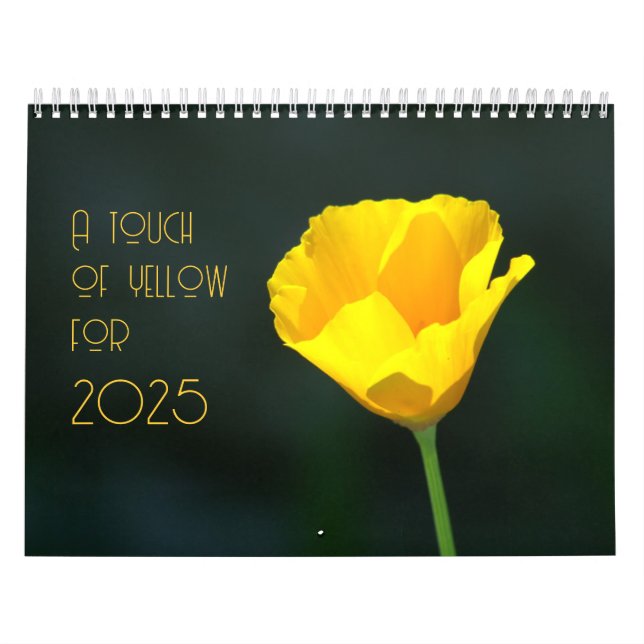 a touch of yellow for 2025 calendar (Cover)