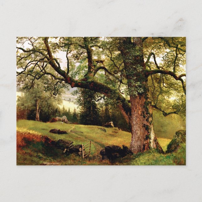 A Trail through the Trees by Albert Bierstadt Postcard (Front)