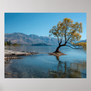 A Tree in a Lake Poster