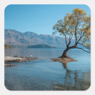 A Tree in a Lake Square Sticker